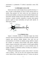Конспект 'Neironu tīkli un to izmantošana (1.daļa)', 7.