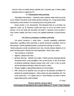 Отчёт по практике 'Ražošanas prakse picērijā "Čili pica"', 19.