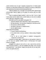 Отчёт по практике 'Ražošanas prakse picērijā "Čili pica"', 26.