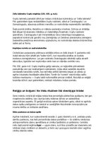 Конспект 'Seno indiešu vēsture, kultūra, mitoloģija, sabiedrība un kultūras mantojums', 4.