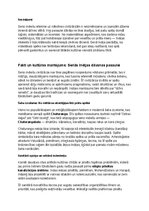Конспект 'Seno indiešu vēsture, kultūra, mitoloģija, sabiedrība un kultūras mantojums', 35.
