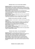 Отчёт по практике 'Praktiskais darbs personāla vadībā par uzņēmumu SIA "Lāči"', 31.
