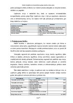 Бизнес план 'Mobilā velosipēdu un elektroskrejriteņu apkopes darbnīcas biznesa plāns Rīgā', 5.