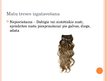 Презентация 'Liekie matu izstrādājumi', 8.