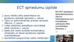 Презентация 'Starptautiskie cilvēktiesību aizsardzības mehānismi', 32.