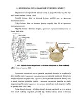 Реферат 'Lumbālās diska trūces konservatīvās un mikroķirurģiskās ārstēšanas agrīnu rezult', 8.