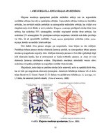 Реферат 'Lumbālās diska trūces konservatīvās un mikroķirurģiskās ārstēšanas agrīnu rezult', 11.