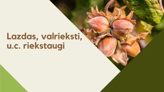Презентация 'Lazdas, valrieksti, u.c. riekstaugi', 1.
