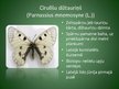 Презентация 'Latvijā aizsargājamo kukaiņu sugas', 12.