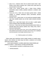 Реферат 'Ceļojuma maršruta izstrāde uz Riodežaneiro: tirgus izpēte, izmaksu aprēķins', 14.