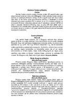 Конспект 'Augšzemes pilskalni', 6.