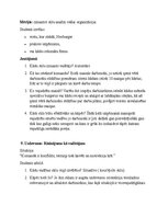 Образец документа 'Vadības stili un to piemērošana', 5.