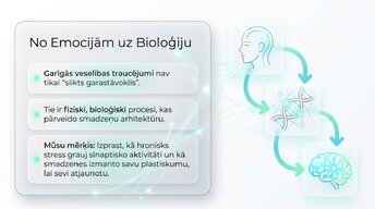 Презентация 'Depresija, trauksme un smadzeņu neiroplastiskums', 2.