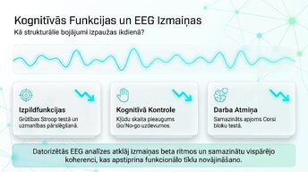 Презентация 'Depresija, trauksme un smadzeņu neiroplastiskums', 7.