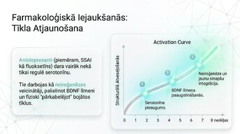 Презентация 'Depresija, trauksme un smadzeņu neiroplastiskums', 10.