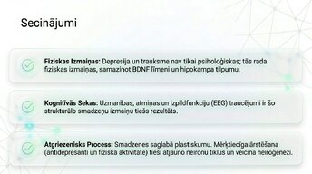 Презентация 'Depresija, trauksme un smadzeņu neiroplastiskums', 13.