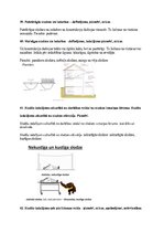 Конспект '"Būvkonstrukciju projektēšanas pamati" atbildes uz eksāmena jautājumiem', 20.