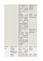 Конспект 'Mācību stundas konspekts sociālās zinībās 3. klase', 2.