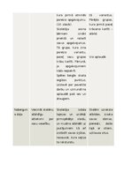 Конспект 'Mācību stundas konspekts sociālās zinībās 3. klase', 4.