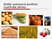 Презентация 'Ģenētiski modificēta pārtika', 4.