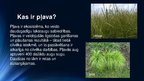 Презентация 'Pļava ekosistēmā', 2.
