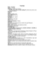 Конспект 'Lēļveidīgie', 8.