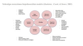 Презентация 'Veiksmīgas novecošanas modeli', 14.