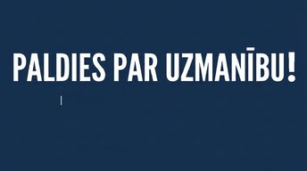 Презентация 'Likviditāte, rentabilitāte un apritīgums: praktiskā finanšu analīze (FP&A)', 15.