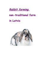 Реферат 'Rabbit Farming', 1.