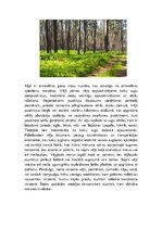 Презентация 'Latvijas meži un to problēmas', 9.