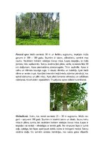 Презентация 'Latvijas meži un to problēmas', 15.