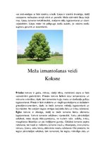 Презентация 'Latvijas meži un to problēmas', 18.