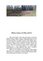 Презентация 'Latvijas meži un to problēmas', 30.