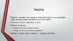 Презентация 'Sievietes uroģenitālā anatomija', 20.