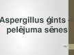 Презентация 'Aspergillus ģints - pelējuma sēnes', 1.