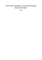 Реферат 'Vēstures traumu atspoguļojums un sievietes pieredze Gundegas Repšes romānā “Boge', 1.