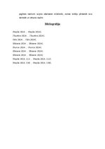 Реферат 'Vēstures traumu atspoguļojums un sievietes pieredze Gundegas Repšes romānā “Boge', 13.