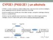 Презентация 'Citohroms P450 un tā loma organismā. CYP450 jeb P450', 8.