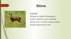 Презентация 'Medījamo dzīvnieku izdarītie postījumi pārapdzīvotības rezultātā', 5.