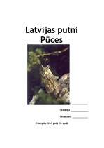 Реферат 'Latvijas putni - pūces', 1.