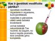 Презентация 'Iedzīvotāju informētība par ģenētiski modificēto pārtiku', 3.