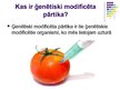 Презентация 'Ģenētiski modificēti organismi, pārtika un to nozīme', 3.