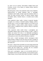 Конспект 'Vīriešu reproduktīvās sistēmas anatomija: struktūra, funkcijas un dzimumu īpatnī', 2.