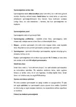 Конспект 'Vīriešu reproduktīvās sistēmas anatomija: struktūra, funkcijas un dzimumu īpatnī', 10.