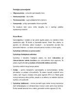 Конспект 'Vīriešu reproduktīvās sistēmas anatomija: struktūra, funkcijas un dzimumu īpatnī', 12.