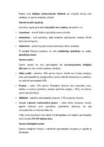 Конспект 'Vīriešu reproduktīvās sistēmas anatomija: struktūra, funkcijas un dzimumu īpatnī', 13.