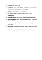 Конспект 'Vīriešu reproduktīvās sistēmas anatomija: struktūra, funkcijas un dzimumu īpatnī', 14.