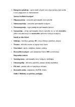 Конспект 'Vīriešu reproduktīvās sistēmas anatomija: struktūra, funkcijas un dzimumu īpatnī', 19.