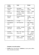 Конспект 'Vīriešu reproduktīvās sistēmas anatomija: struktūra, funkcijas un dzimumu īpatnī', 24.