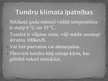 Презентация 'Savanna un tundra', 13.
